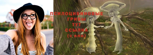 наркотики Бородино