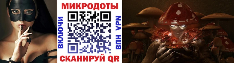 цена   Юрьев-Польский  Псилоцибиновые грибы Psilocybine cubensis 