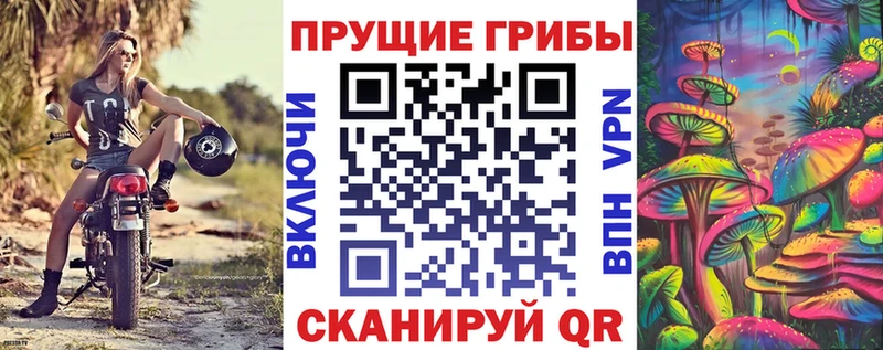 Галлюциногенные грибы мухоморы Юрьев-Польский